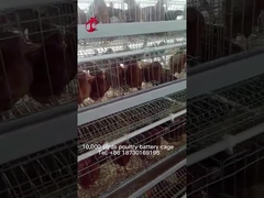 Nigeria sistema superior y de lujo de Warehouse de las aves de corral de batería de la jaula para los pollos Sandy de la capa