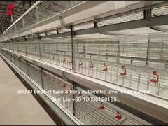 El tipo de llavero capa automatizada del proyecto H enjaula el equipo para 50000 pájaros cultiva la estrella