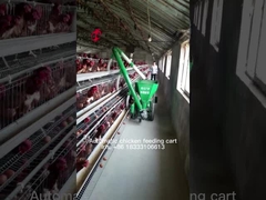 Sistema de proceso de alimentación de la granja avícola 220v, iris modificado para requisitos particulares de la carretilla de la alimentación de las aves de corral
