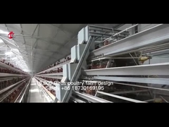 Un tipo equipo automático lleno de la jaula del pollo para la granja avícola Sandy de 20.000 capacidades