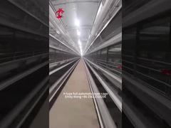 Tipo equipo automático moderno Emily de H de la jaula del pollo de 25000 pájaros