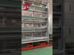 Jaula 2.40m* 2.60m* los 2.0m Rose del pollo de la grada del equipo de granja avícola de la capa 4