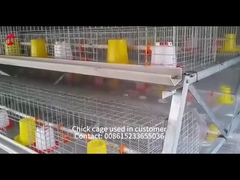 Longitud automática galvanizada caliente Mia de los pájaros el 1.2m de Chick Brooder Cage 192 del bebé del pollo