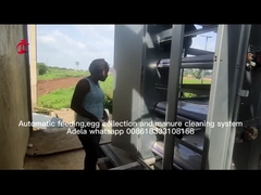 Un tipo jaula de batería del pollo de la capa por completo automática para la granja grande Adela