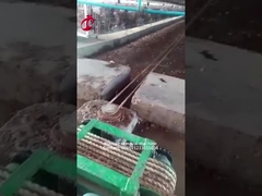 Máquina Mia del retiro del abono del uso de la granja de pollo de 5.000 pájaros