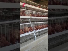 Galvanizado un tipo jaula de batería de capa de pollo de 3/4 niveles para la granja avícola Doris