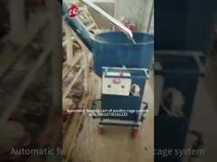 Jaula de cría de pollos de aves de corral de pollos de engorde de fábrica de Nigeria de China para la venta Ada