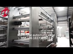 Sistema automático de puesta de gallinas de cultivo de aves de corral en el mercado de África