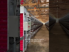 Proyecto llave en mano Sistema automático de jaula de baterías de aves de corral 3 niveles 450cm2 Estrella