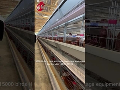 Estrella automática de aumento controlada por ordenador del equipo de la jaula del pollo