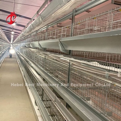 Sistema de jaula de aves de corral galvanizado con baño en caliente Capas blancas Granja de aves Adela