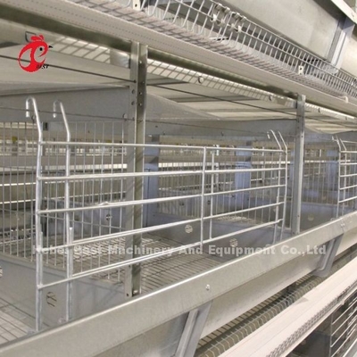 Pollo 12 Celdas Capas Sistema de jaula de batería 4 Nivel para la granja Adela