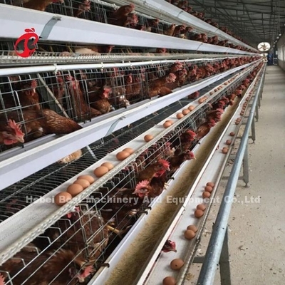 4 gradas una Adela galvanizada caliente del tipo consumición automática del sistema de la jaula de la capa y alimentación