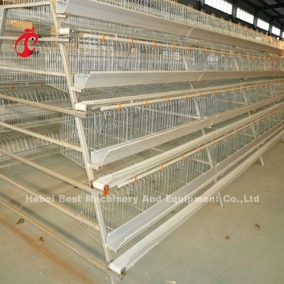 4 gradas una Adela galvanizada caliente del tipo consumición automática del sistema de la jaula de la capa y alimentación