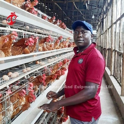 Resistencia de oxidación galvanizada capa del sistema de la jaula de batería de las aves de corral del pollo en la granja Mia