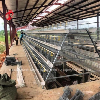 Diámetro de alambre de jaula 2,8 mm-3,5 mm Sistema de jaula de cultivo de capas con sistema automático de bebida Adela
