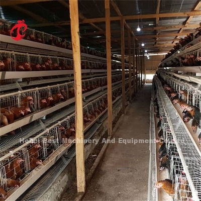 Sistema de jaula de batería para gallinas ponedoras de huevos