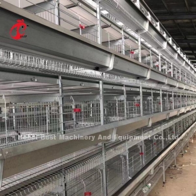 96 gallinas automáticas del huevo de la parrilla del sistema de la jaula de batería de las aves de corral de los pájaros un tipo Rose