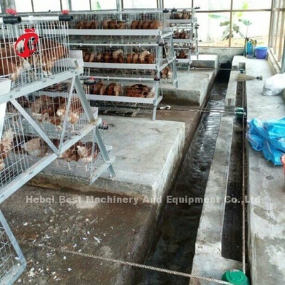 La máquina auto del raspador del abono de las aves de corral de tres fases quita el pollo Sandy inútil
