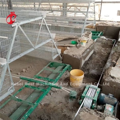 Equipo automático de eliminación de estiércol de 380v de aves de corral de gallinas raspador de suelo Ada