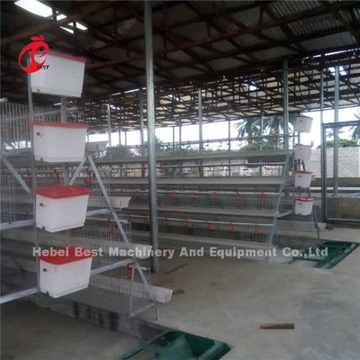 Equipo automático de eliminación de estiércol de 380v de aves de corral de gallinas raspador de suelo Ada