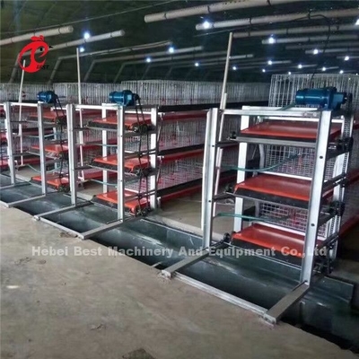 Cajera de pollo de pollo automático de tipo H para pollo de carne Ada