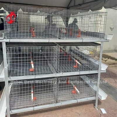 A o el tipo pollo tomatero de H enjaula la capacidad madurada Emily de 96 parrillas