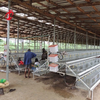 El CE un tipo 120 pájaros Chick Rearing Cage With Drinkers y alimentadores protagoniza