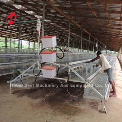 El CE un tipo 120 pájaros Chick Rearing Cage With Drinkers y alimentadores protagoniza