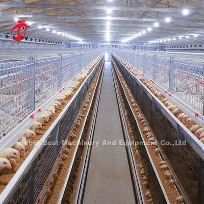 Tipo galvanizado jaula de A o de H del pollo tomatero para un día de viejo al pollo adulto Doris