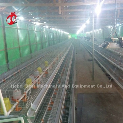 Jaula de cría Granja avícola Brooder Equipo de cría Sandy