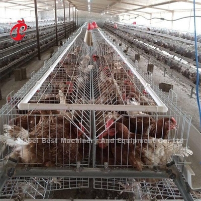 Jaula de cría Granja avícola Brooder Equipo de cría Sandy