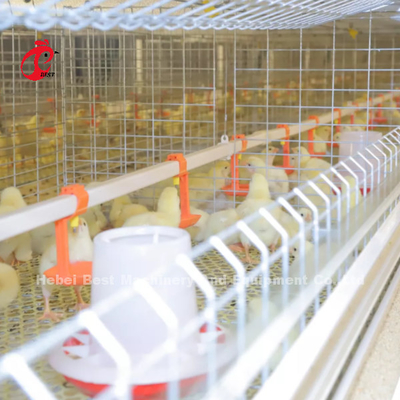 Sistema que se alza automático Rose de la jaula de la gallina clueca del polluelo 2.5m m del bebé