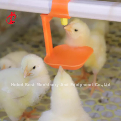 Sistema que se alza automático Rose de la jaula de la gallina clueca del polluelo 2.5m m del bebé