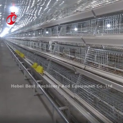 La jaula galvanizada del pollo de la gallina clueca de 120 capacidades que alza polluelos viejos de la capa del día irisa