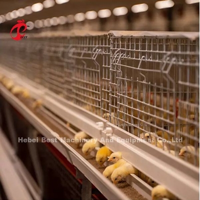 La jaula galvanizada del pollo de la gallina clueca de 120 capacidades que alza polluelos viejos de la capa del día irisa
