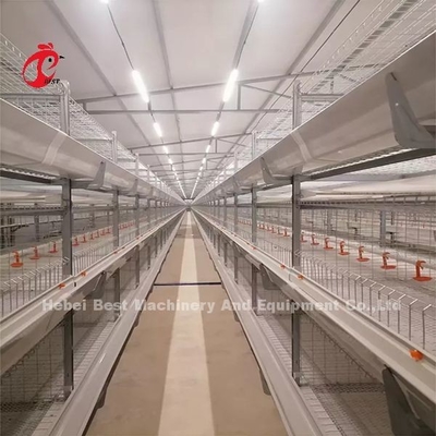 Un tipo de gallina Broiler Jaula y Granja Casa de aves de corral Edificio Diseño Mia
