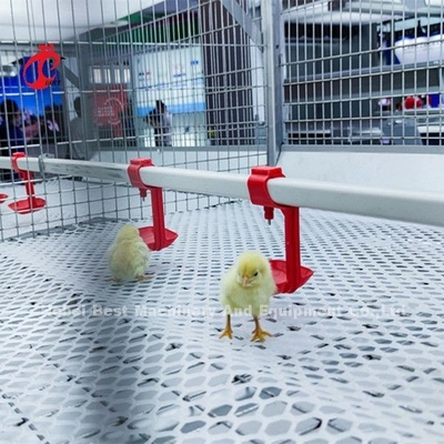 96 pájaros un tipo - granja Doris de Chick Brooder Cage In Chicken de 1 - 12 semanas