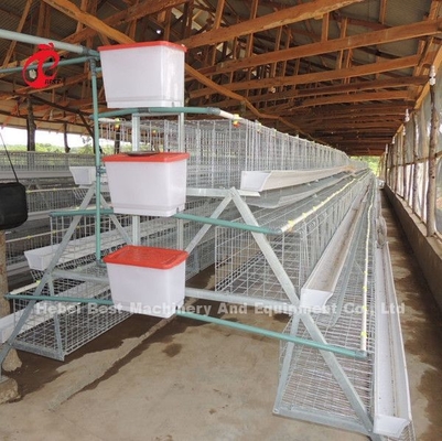120 Aves 200 Aves Capacidad Avicultura Sistema de jaula de baterías para capas Pollitos de engorde Pollitos estrella