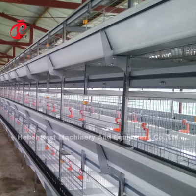 Pollo automático de la jaula de las aves de corral de la capa que cultiva las soluciones completas Rose de la casa prefabricada