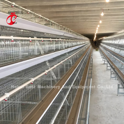 Sistema de batería automático del Hdg de avicultura con el bebedor Rose de la entrerrosca