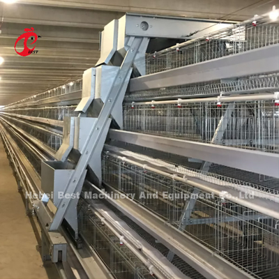 Pollo automático de la jaula de las aves de corral de la capa que cultiva las soluciones completas Rose de la casa prefabricada