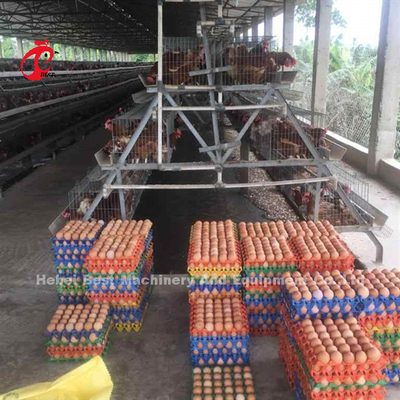 Ada semi automático del equipo de la avicultura del sistema de la jaula de batería de la capa de 3.5m m