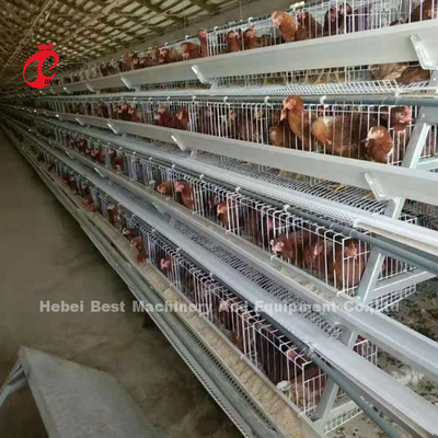 Ada semi automático del equipo de la avicultura del sistema de la jaula de batería de la capa de 3.5m m