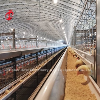 Sistema de jaula de baterías para pollos de pollo y aves de corral