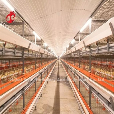 El sistema inteligente de la jaula de batería de las aves de corral semi automático y automático para las parrillas irisa
