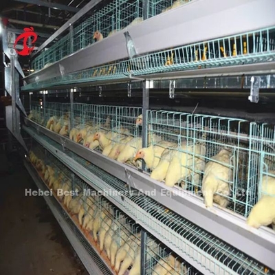 El sistema inteligente de la jaula de batería de las aves de corral semi automático y automático para las parrillas irisa