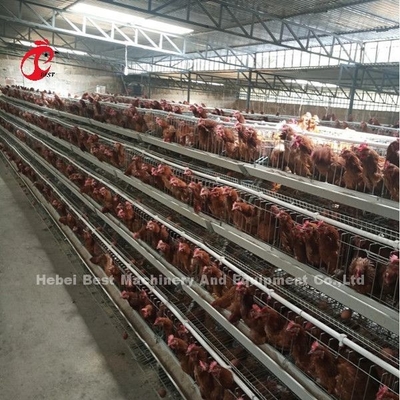 5 ponedoras galvanizadas 450cm2 Emily de huevo del sistema de la jaula de batería de la capa de las gradas