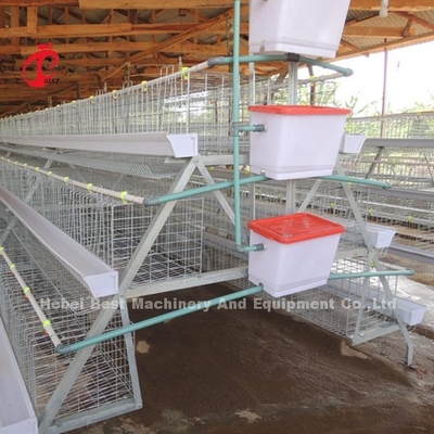 Sistema de lujo 5 Doris galvanizado células de la jaula de batería de las aves de corral de 120 pájaros