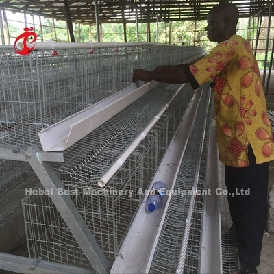 Sistema de lujo 5 Doris galvanizado células de la jaula de batería de las aves de corral de 120 pájaros
